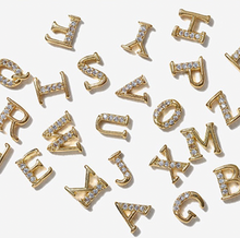 Load image into Gallery viewer, Dazed
